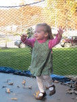 Trampoline