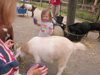 At the Zoo