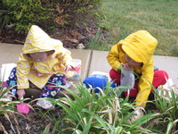 Gardening