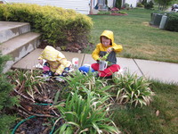 Gardening