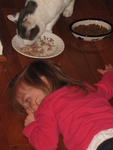 Sleepy on the hardwood floor