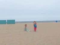 Making friends on the beach